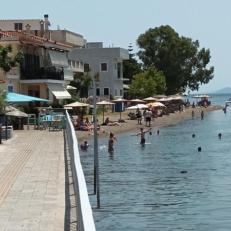 The Country House In Amarynthos Yimnon Buitenkant foto